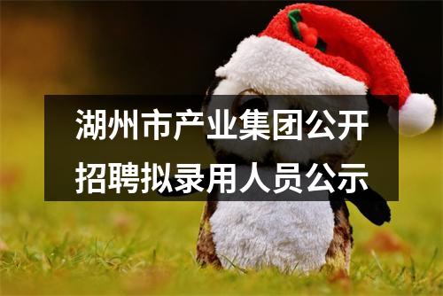 湖州市产业集团公开招聘拟录用人员公示 图片