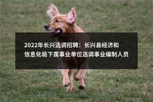 2022年长兴选调招聘：长兴县经济和信息化局下属事业单位选调事业编制人员拟录用名单公示 图片