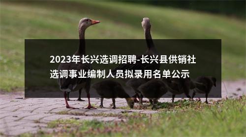 2023年长兴选调招聘-长兴县供销社选调事业编制人员拟录用名单公示 图片